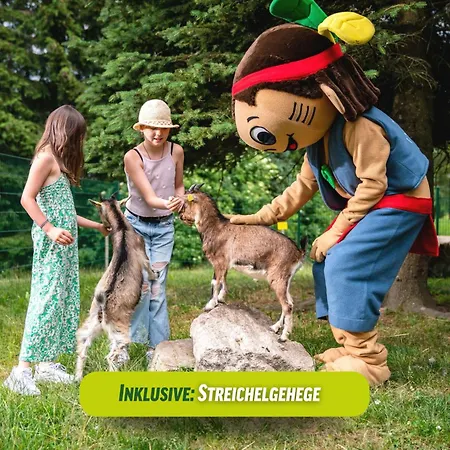 Ahorn Waldhotel מלון