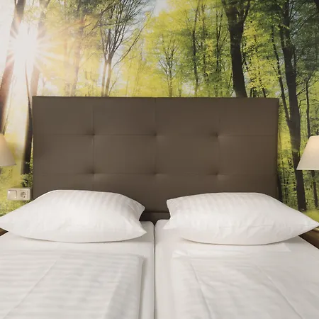 Ahorn Waldhotel מלון 3*