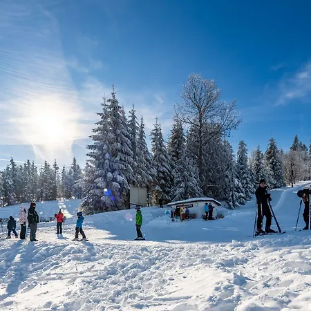 Ahorn Waldhotel Hotel Altenberg (Erzgebirge)