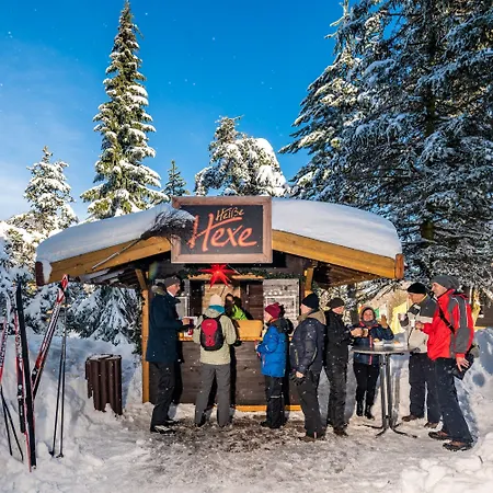 Ahorn Waldhotel 3* Altenberg (Erzgebirge)