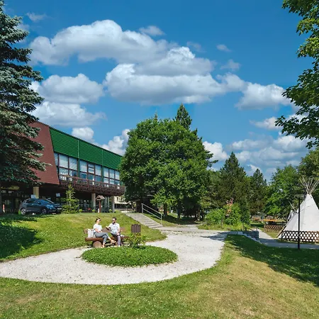 Ahorn Waldhotel Hotel Altenberg (Krušné hory)