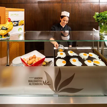 Ahorn Waldhotel
