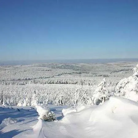 Ahorn Waldhotel Altenberg (Montes Metalíferos)