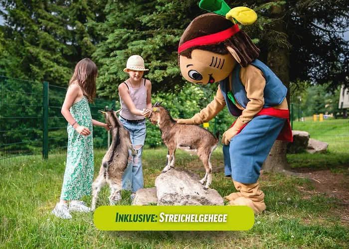 Ahorn Waldhotel 酒店