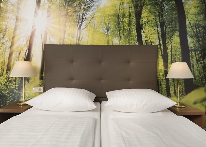 Ahorn Waldhotel Hotel 3*