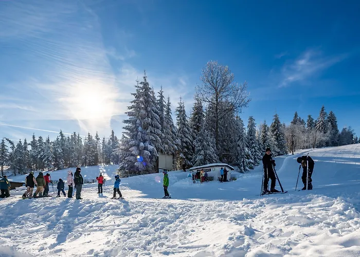 Ahorn Waldhotel Hotel Altenberg (Erzgebirge)