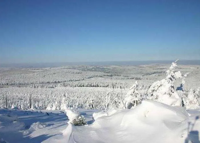 Ahorn Waldhotel Altenberg (Erzgebirge)
