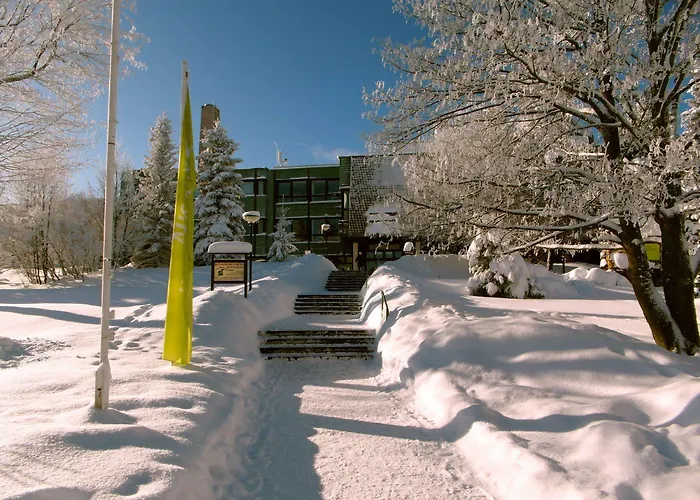 מלון Ahorn Waldhotel Altenberg